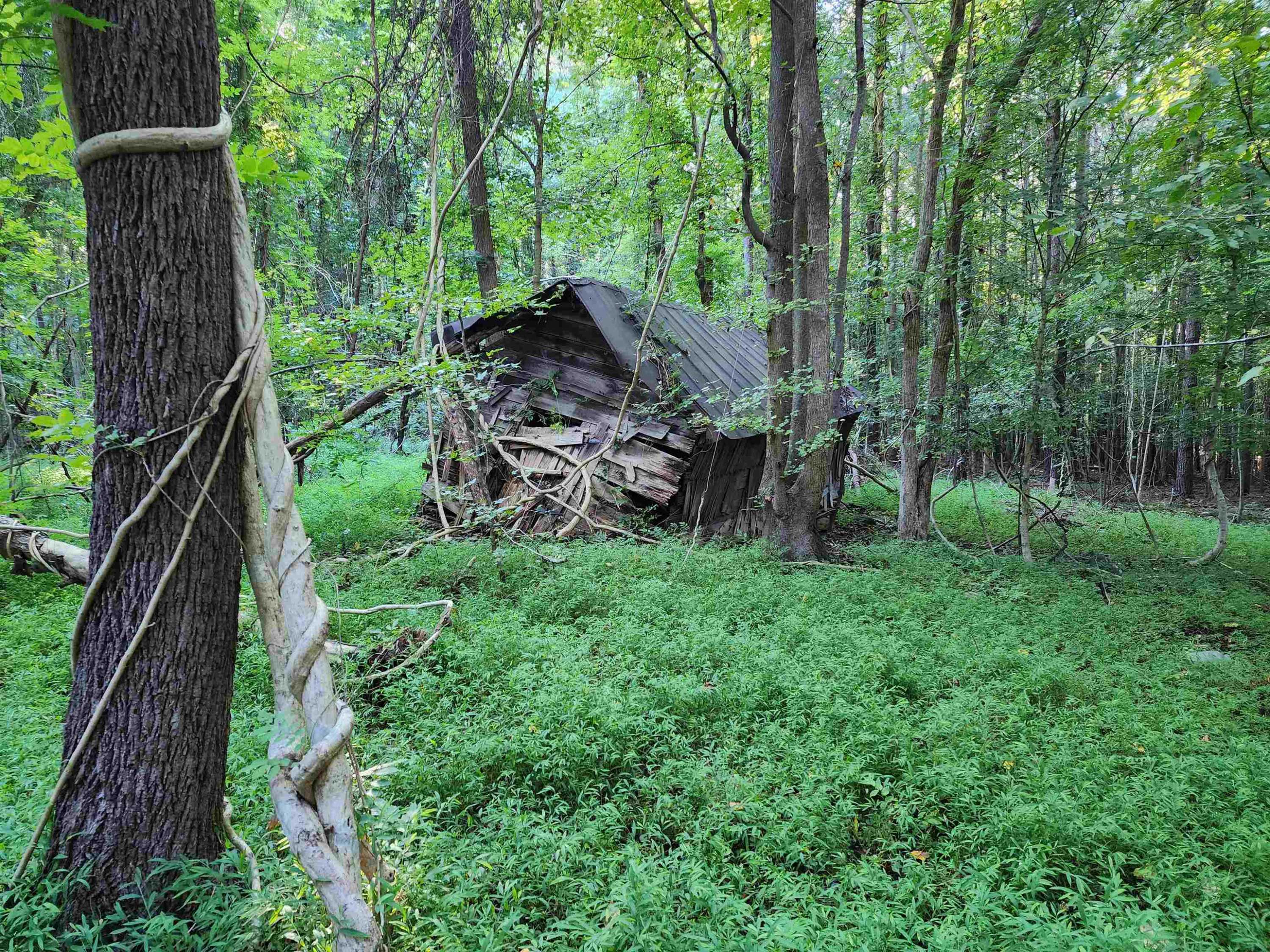 Wake Forest, NC 27587,Creedmoor Road