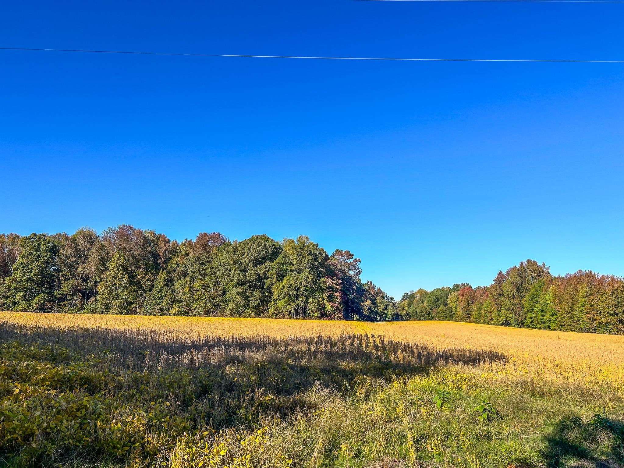 Hurdle Mills, NC 27541,30 Acres Hurdle Mills Road