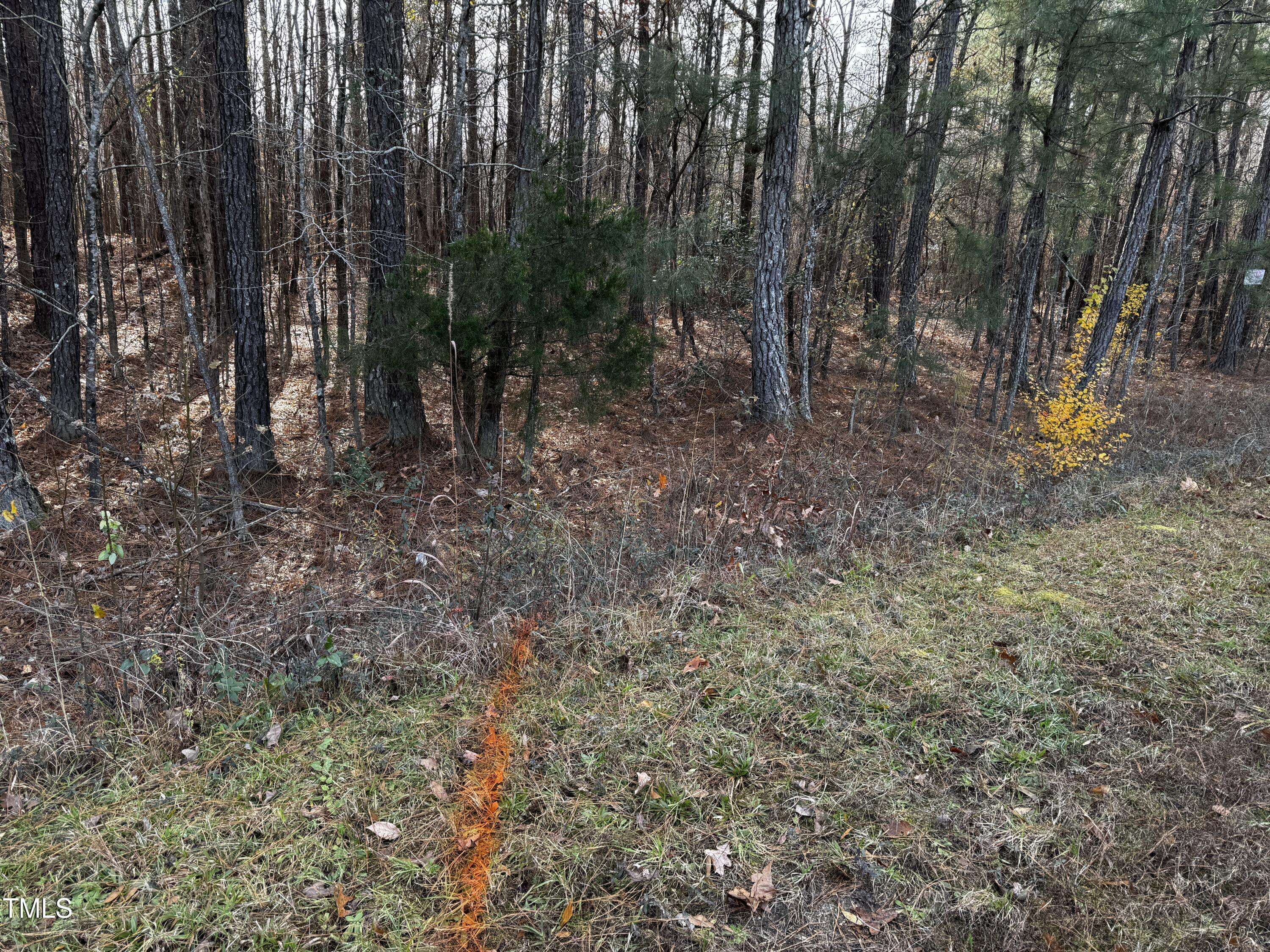 Bunn, NC 27508,0 Lot 2c Sledge Road