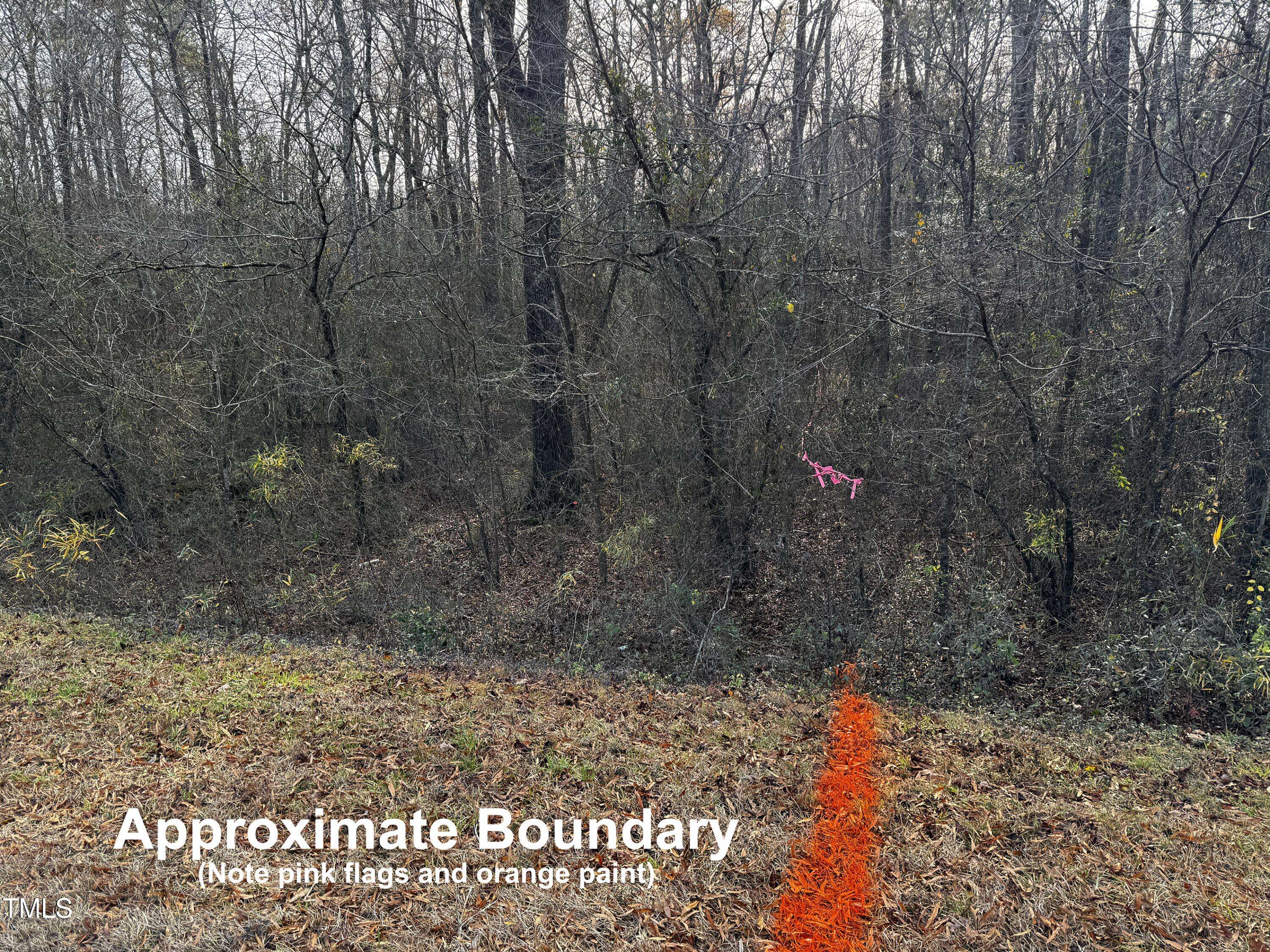 Bunn, NC 27508,0 Lot 2c Sledge Road