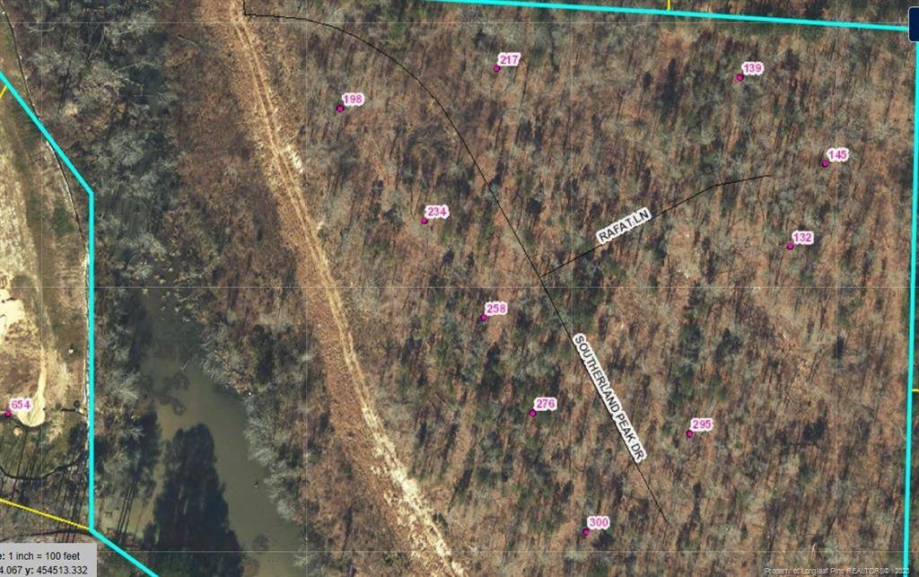 Raeford, NC 28376,139 Rafat (Lot 10) Lane