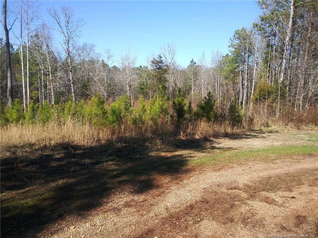 Robbins, NC 27325,TBD Hemp Street