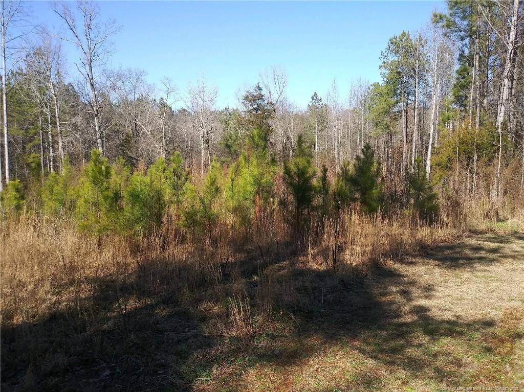 Robbins, NC 27325,TBD Hemp Street