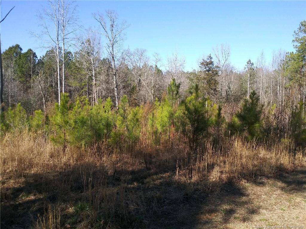 Robbins, NC 27325,TBD Hemp Street