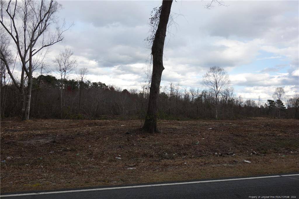 Lumberton, NC 28358,Lot 9 Odum Road