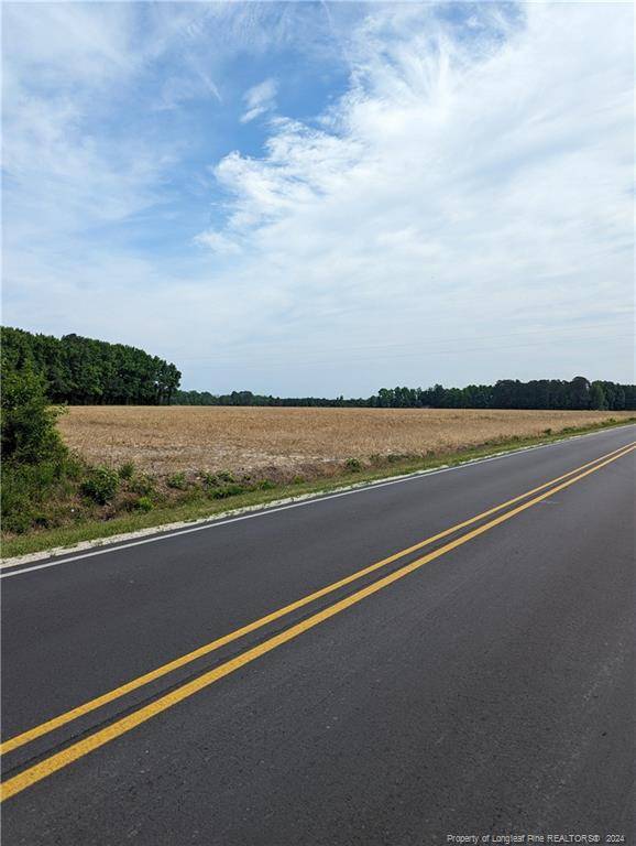 Bunnlevel, NC 28323,TBD Wire Road