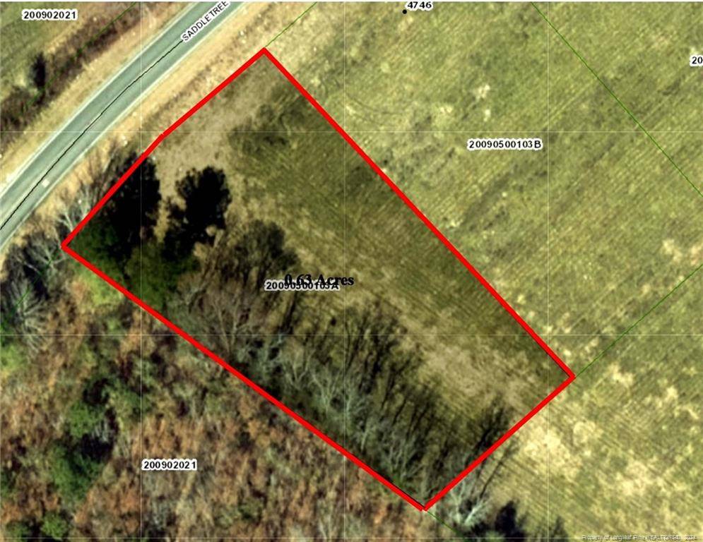 Lumberton, NC 28360,Saddletree (Lot 1) Road