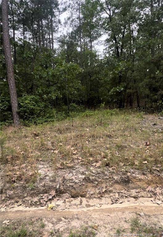 Eagle Springs, NC 27242,LOT 23 Cedar Lane