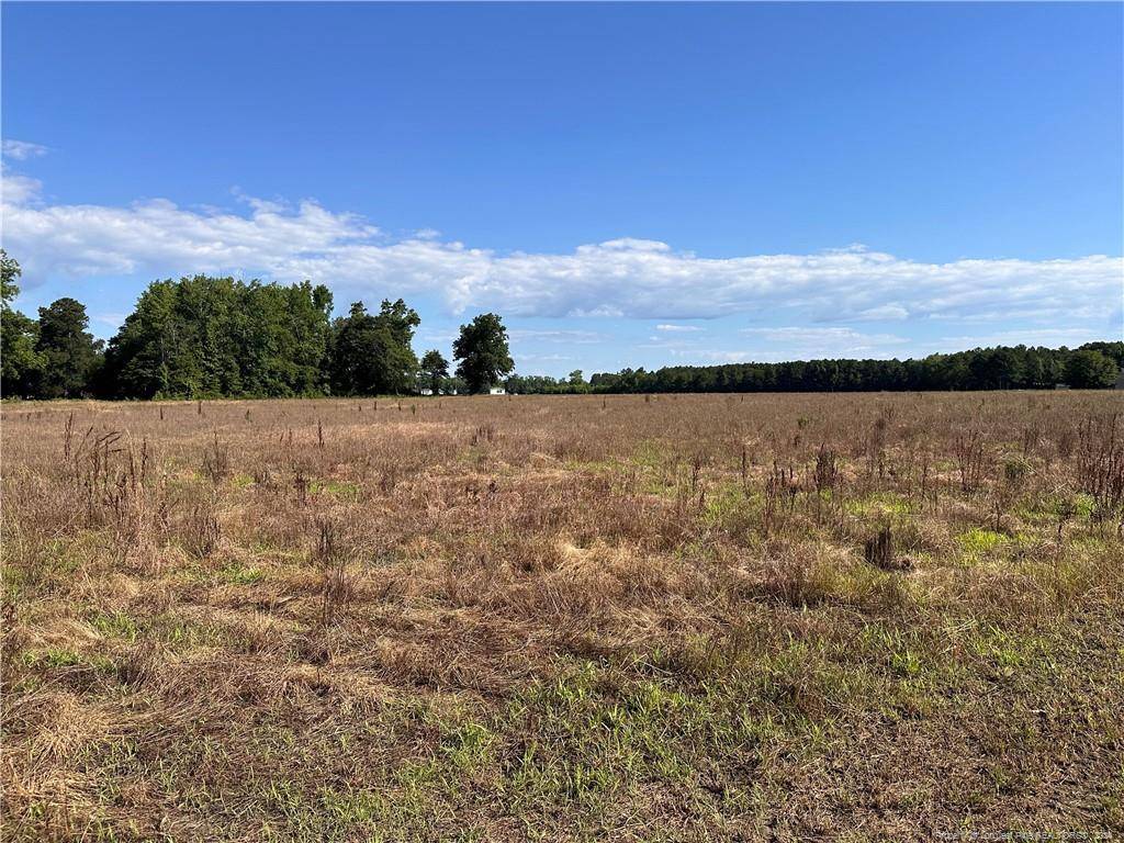 Pembroke, NC 28372,Lot 1,2 &3 Moss Neck Road