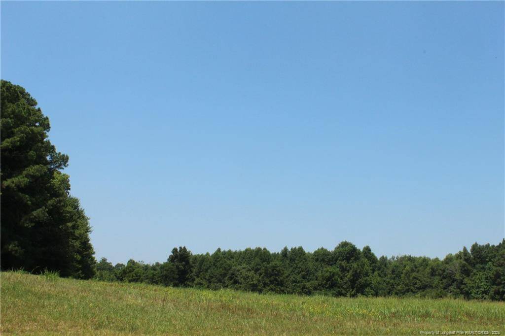 Bear Creek, NC 27207,tbd Siler City Glendon Road