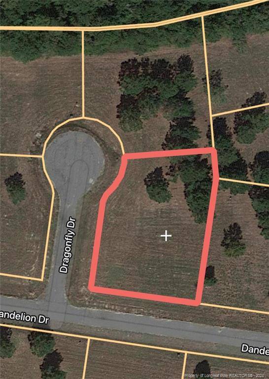 Lumberton, NC 28360,Dragonfly Drive