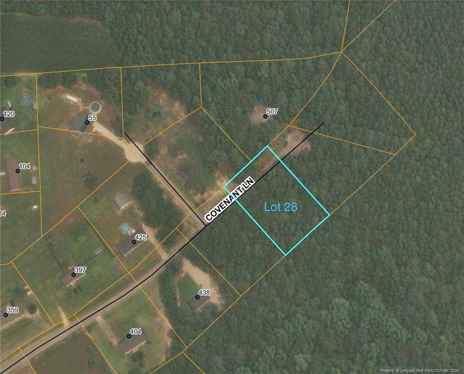 Godwin, NC 28344,tdb Covenant Lane