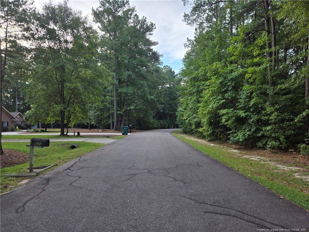 Woodlake, NC 28394,319 Cypress Creek Corner