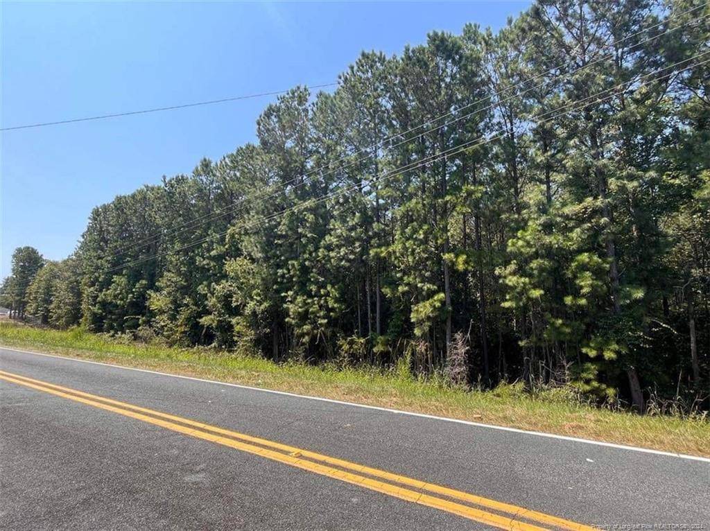 Linden, NC 28356,Lot 1 (Sandhill Estates) Raynor McLamb Road