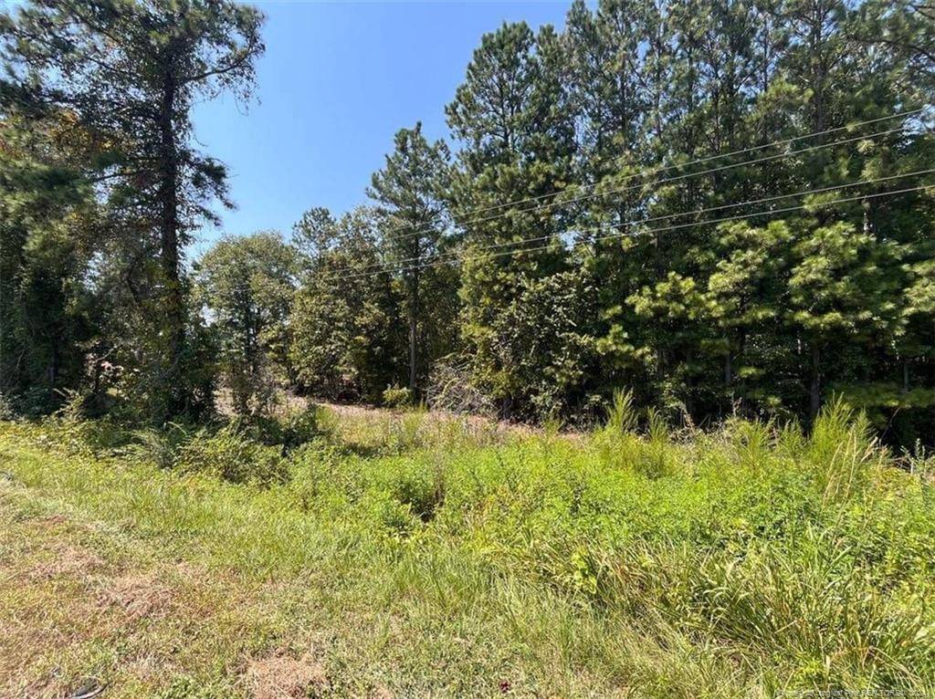 Linden, NC 28356,Lot 1 (Sandhill Estates) Raynor McLamb Road