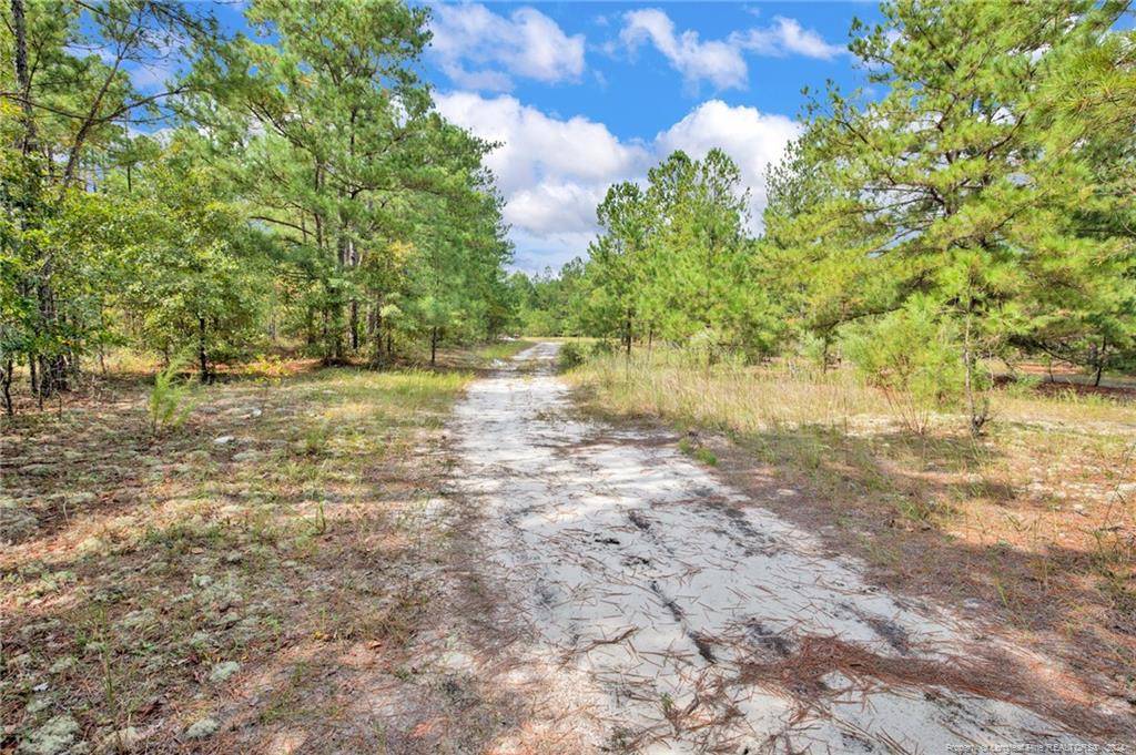 Cameron, NC 28326,2A MCKOY TOWN Road