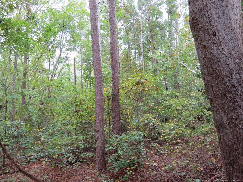 Sanford, NC 27330,0 Lick Creek Road