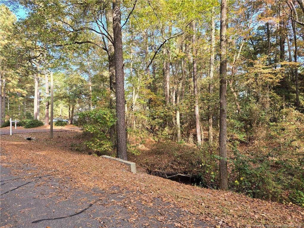 Woodlake, NC 28394,Lot 47 A Cypress Creek Corner