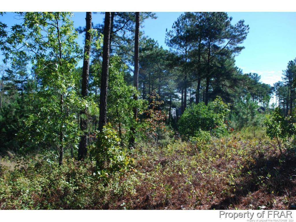 Spring Lake, NC 28390,152 Broadlake (635) Lane