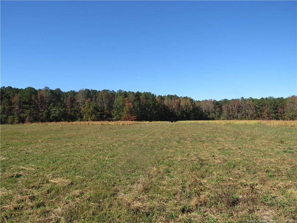 Fairmont, NC 28340,NC Hwy 41 (Lot 4)