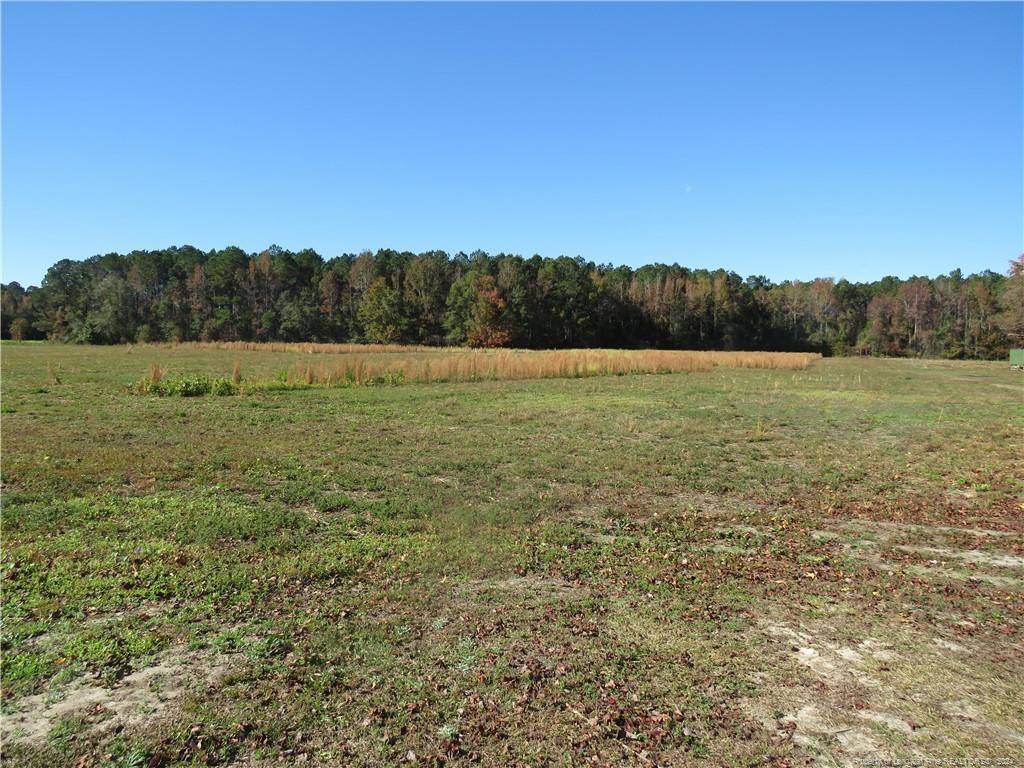 Fairmont, NC 28340,NC Hwy 41 (Lot 4)