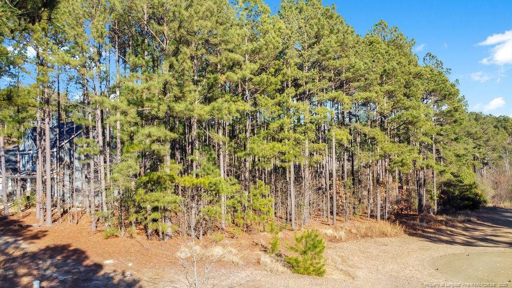 Spring Lake, NC 28390,91 Anderson (Lot 318) Lake