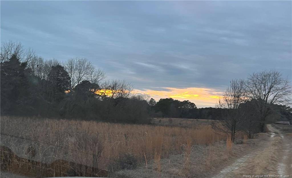 Sanford, NC 27330,TBD Hwy 87/ Broadway Rd. Road