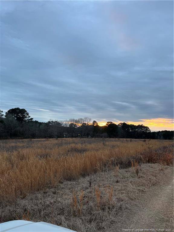 Sanford, NC 27330,TBD Hwy 87/ Broadway Rd. Road