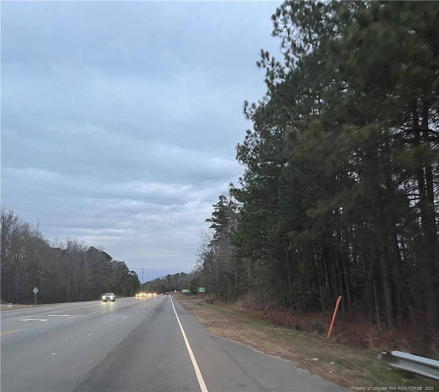 Sanford, NC 27330,TBD Hwy 87/ Broadway Rd. Road