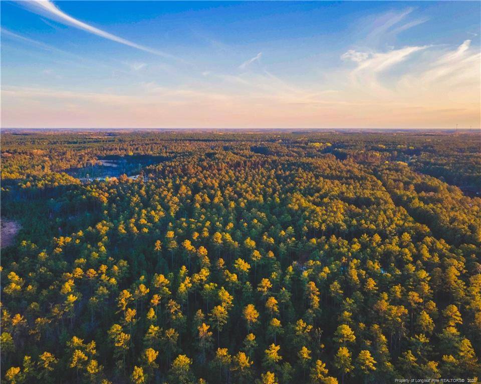Wagram, NC 28396,Tract 6 Peach Orchard Road