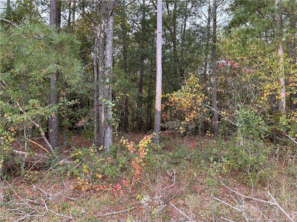 Maxton, NC 28364,Lot 1 Midway Road