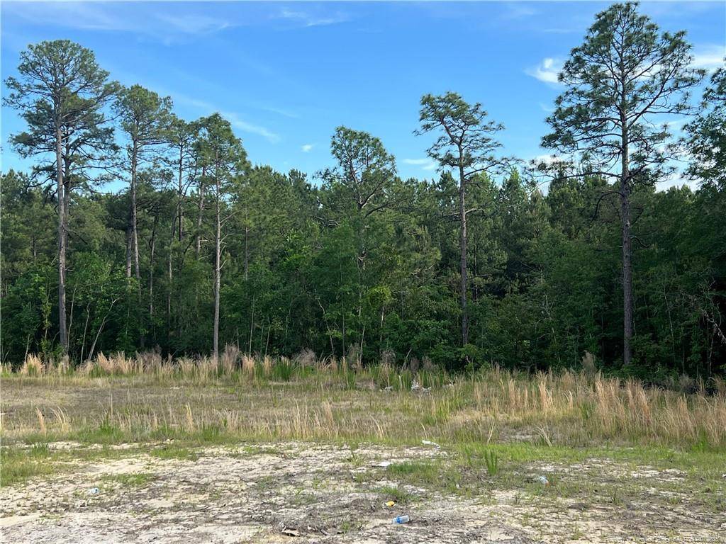 Fayetteville, NC 28311,657 Cresswell Moor Way