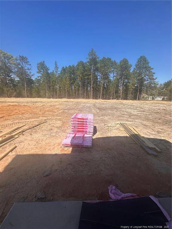 Pinebluff, NC 28373,161 Merle Road