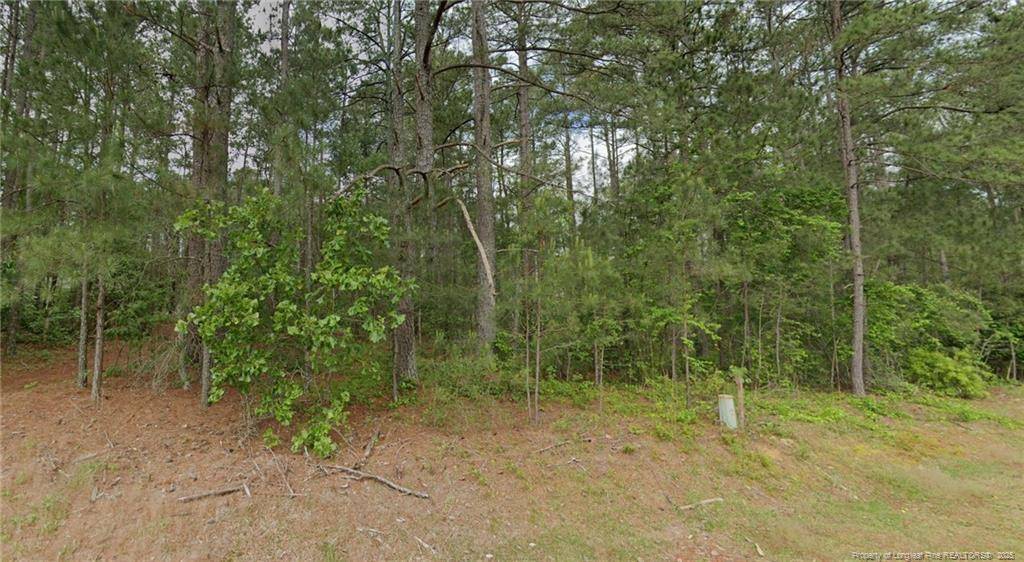 Wagram, NC 28396,37 Peach Orchard Road
