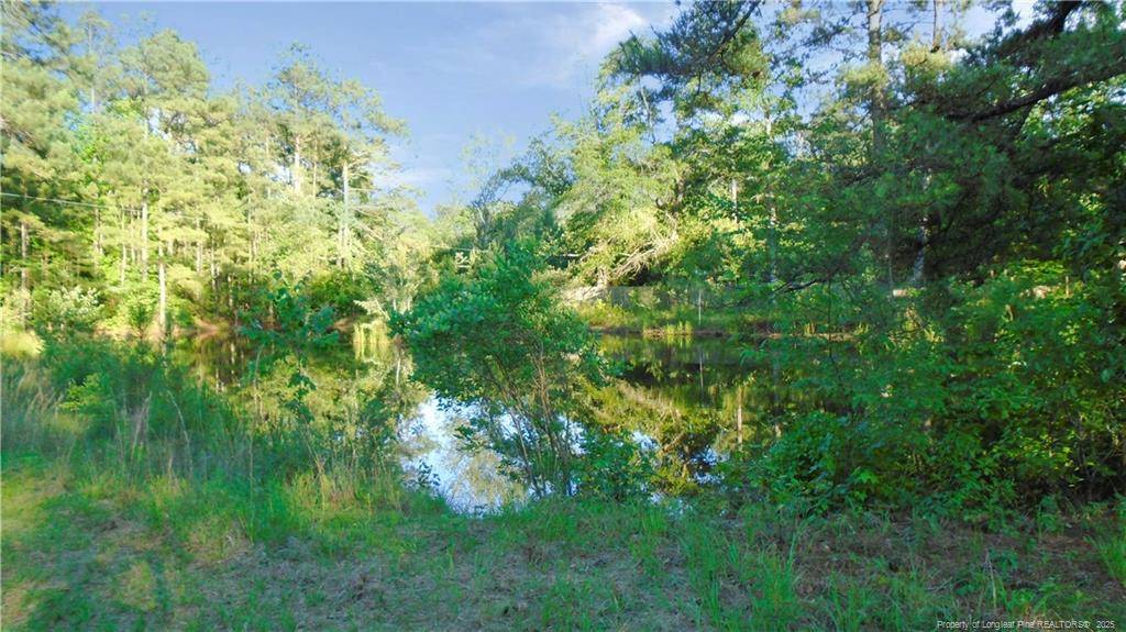 Vass, NC 28394,111 Creek Bend Drive