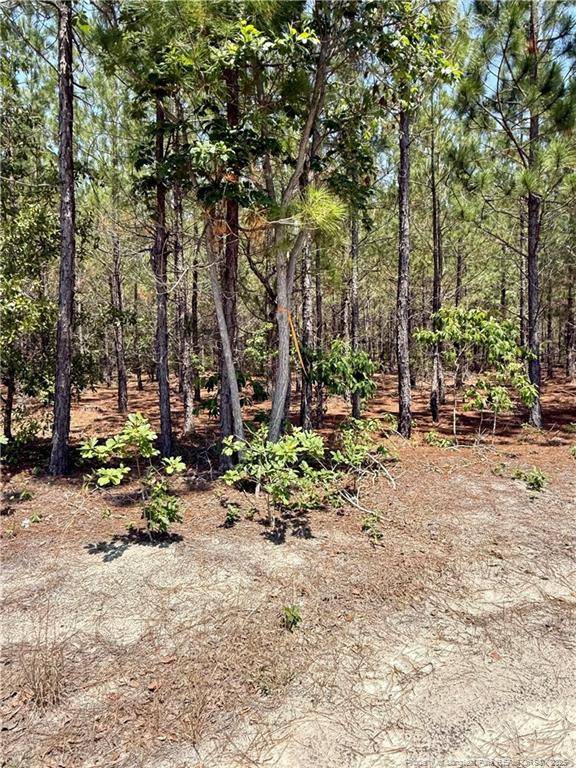Wagram, NC 28396,TBD 2 North Turnpike Road