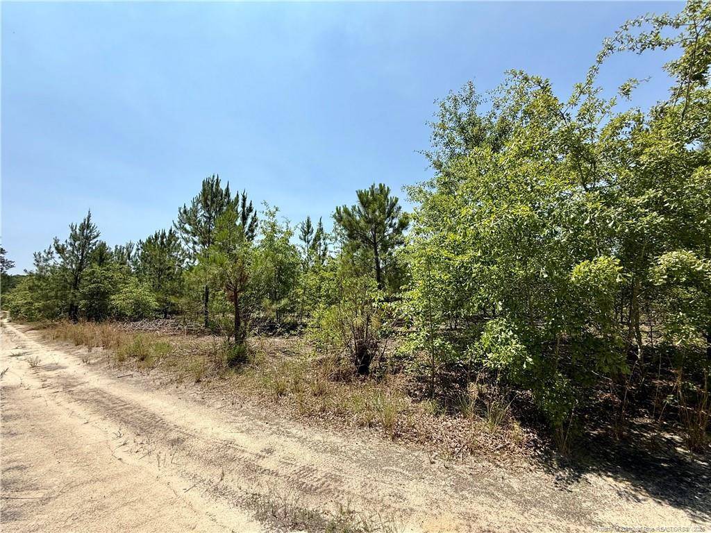 Wagram, NC 28396,TBD 2 North Turnpike Road