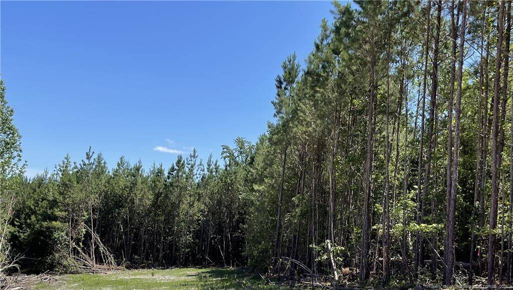 Broadway, NC 27505,0 Henschel Lane