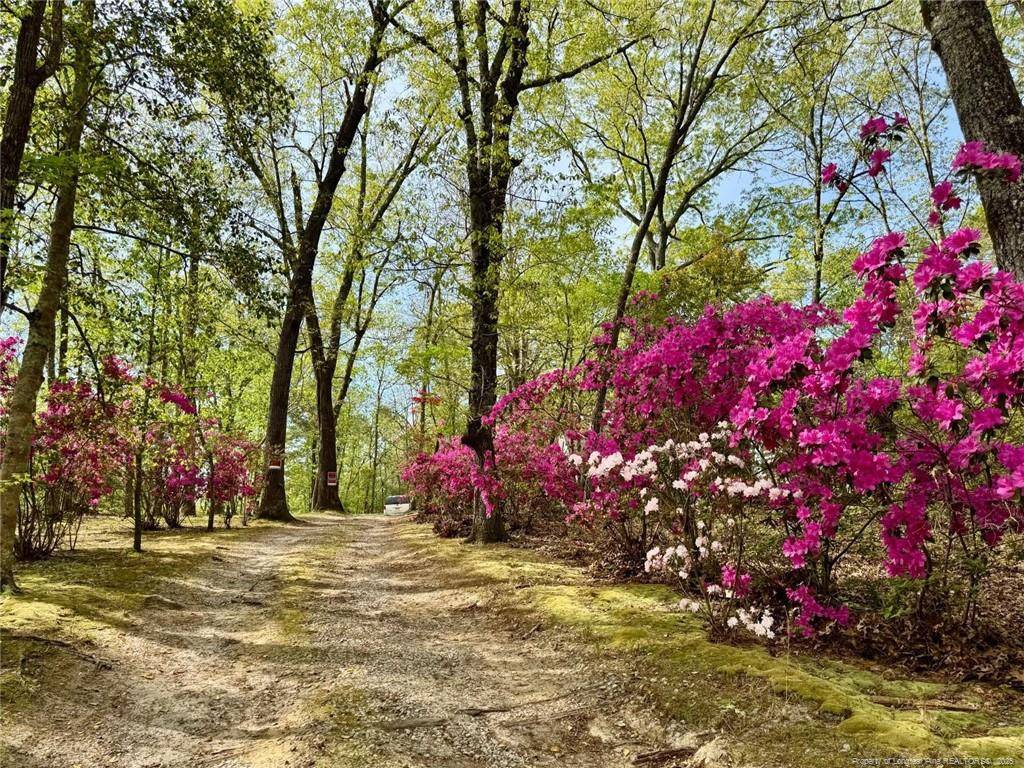 Fayetteville, NC 28306,4216 Tranquility Road