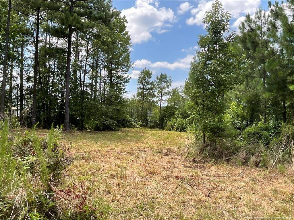 Sanford, NC 27332,226 Clearview Court