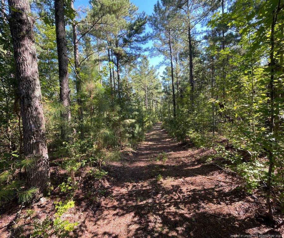 Cameron, NC 28326,Cypress Church Road