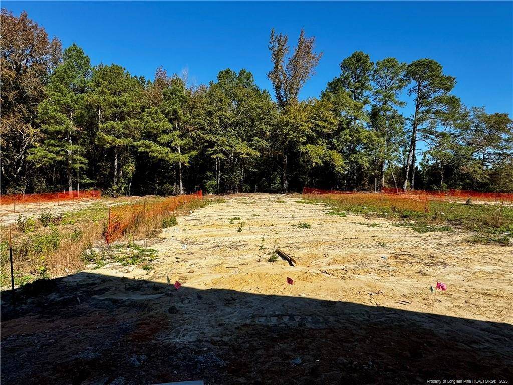 Lillington, NC 27546,355 Hookbill (Lot 25) Lane