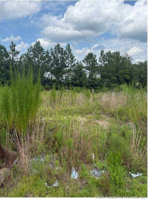 Cameron, NC 28326,457 Pittfield Run