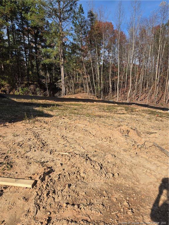 Sanford, NC 27330,307 One Tree Hill