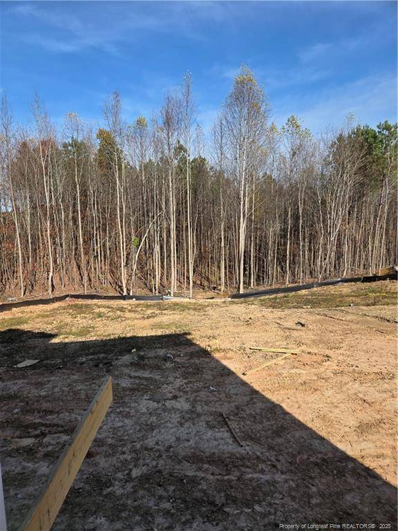 Sanford, NC 27330,307 One Tree Hill