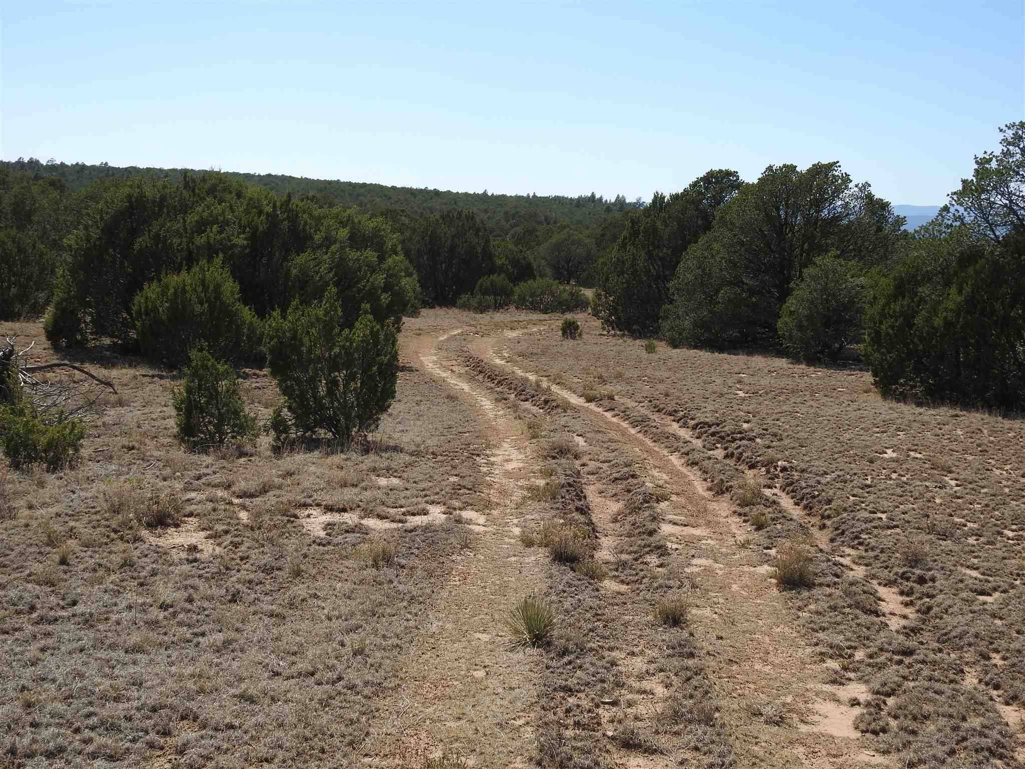 Las Vegas, NM 87701,140 Apache Mesa