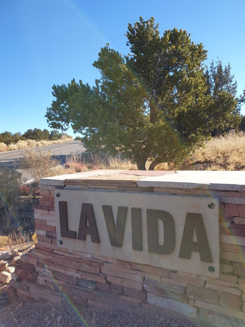 Santa Fe, NM 87506,16 RABBITBRUSH