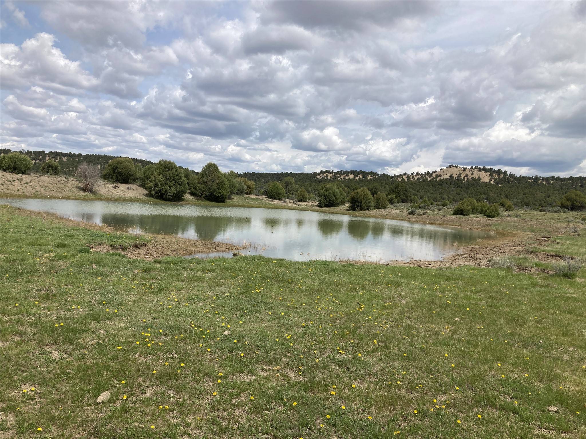 Tierra Amarilla, NM 87575,TBD Highway 84/64
