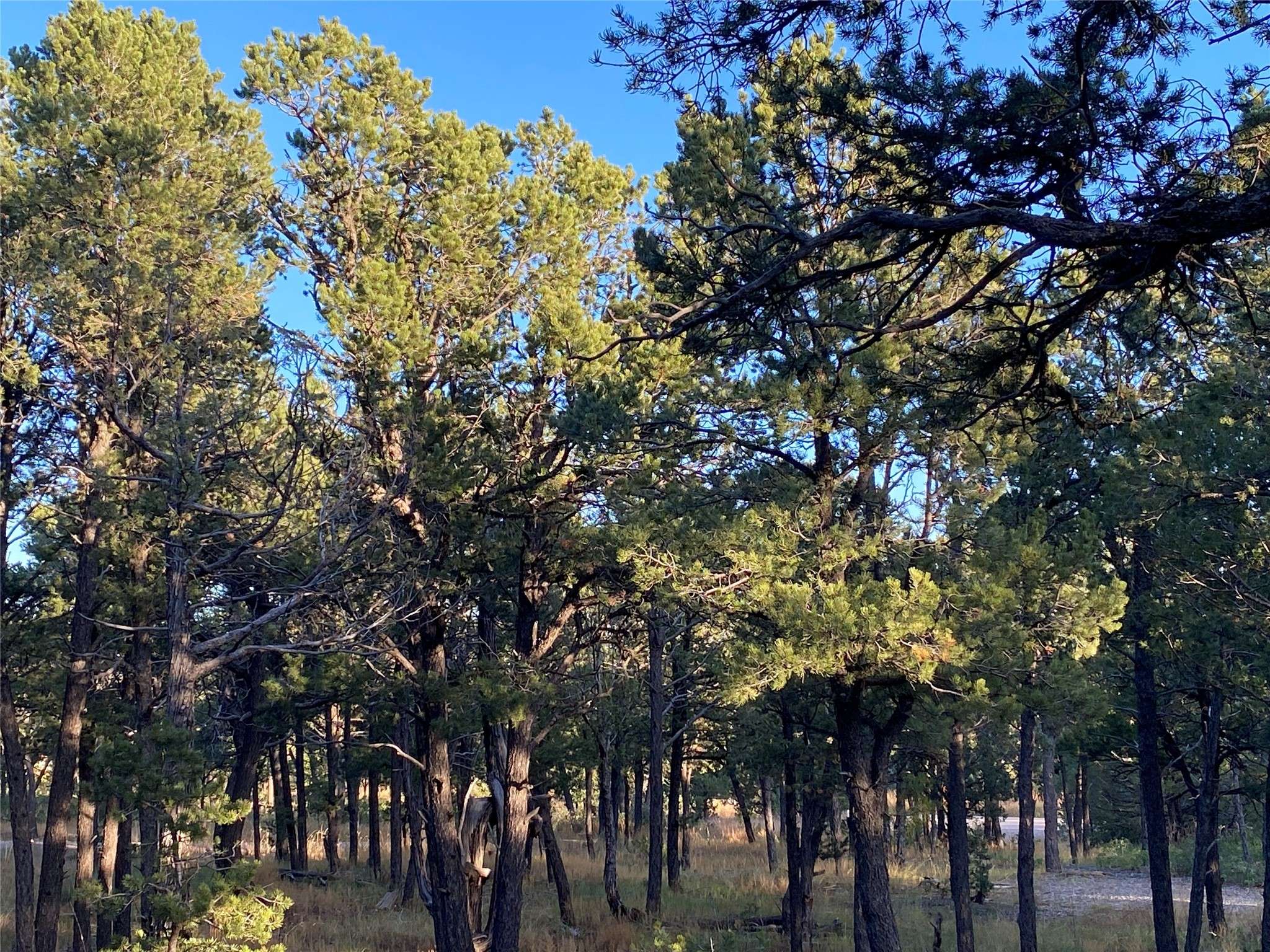 Pecos, NM 87552,3 Dancing Hawk DR