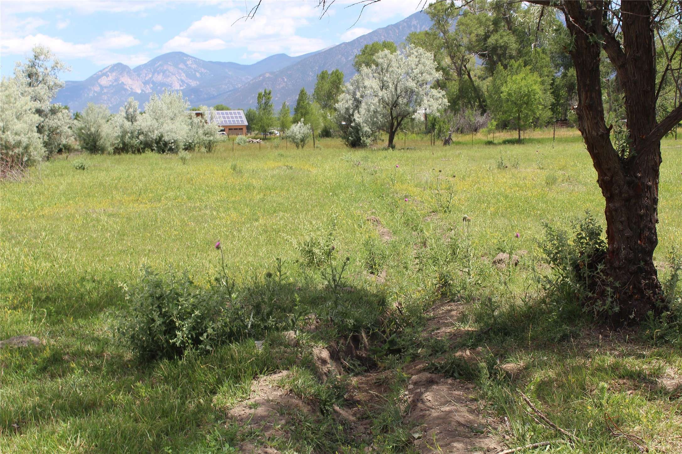 Taos, NM 87571,0 La Senisa RD